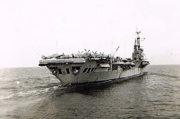 firefly_warrior02.jpg