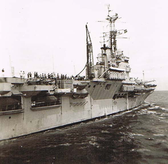 firefly_warrior03.jpg