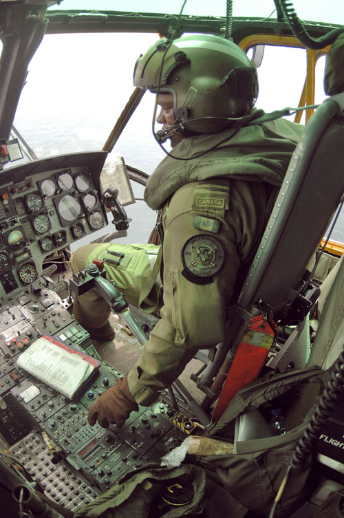 seaking_copilot_a.jpg